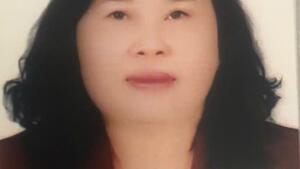 Huỳnh Thị Son