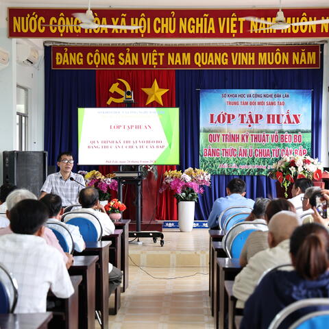 Tập huấn quy trình kỹ thuật vỗ béo bò bằng thức ăn ủ chua từ cây bắp